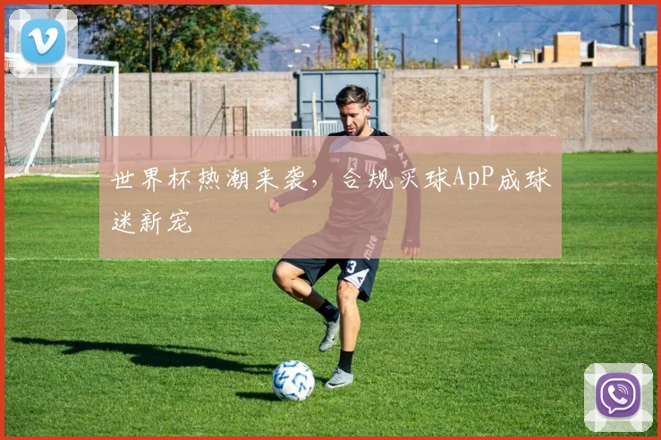 世界杯热潮来袭,合规买球ApP成球迷新宠