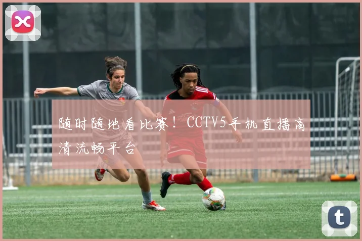 随时随地看比赛！CCTV5手机直播高清流畅平台
